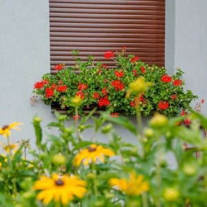 Předokenní rolety9